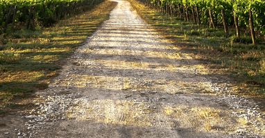 グラベルってどんな道？グラベルロードが想定する走り thumbnail
