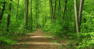 グラベルロードバイクはカスタマイズ次第でどこまで走ることが出来るようになる？ thumbnail