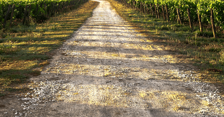 グラベルってどんな道？グラベルロードが想定する走り thumbnail